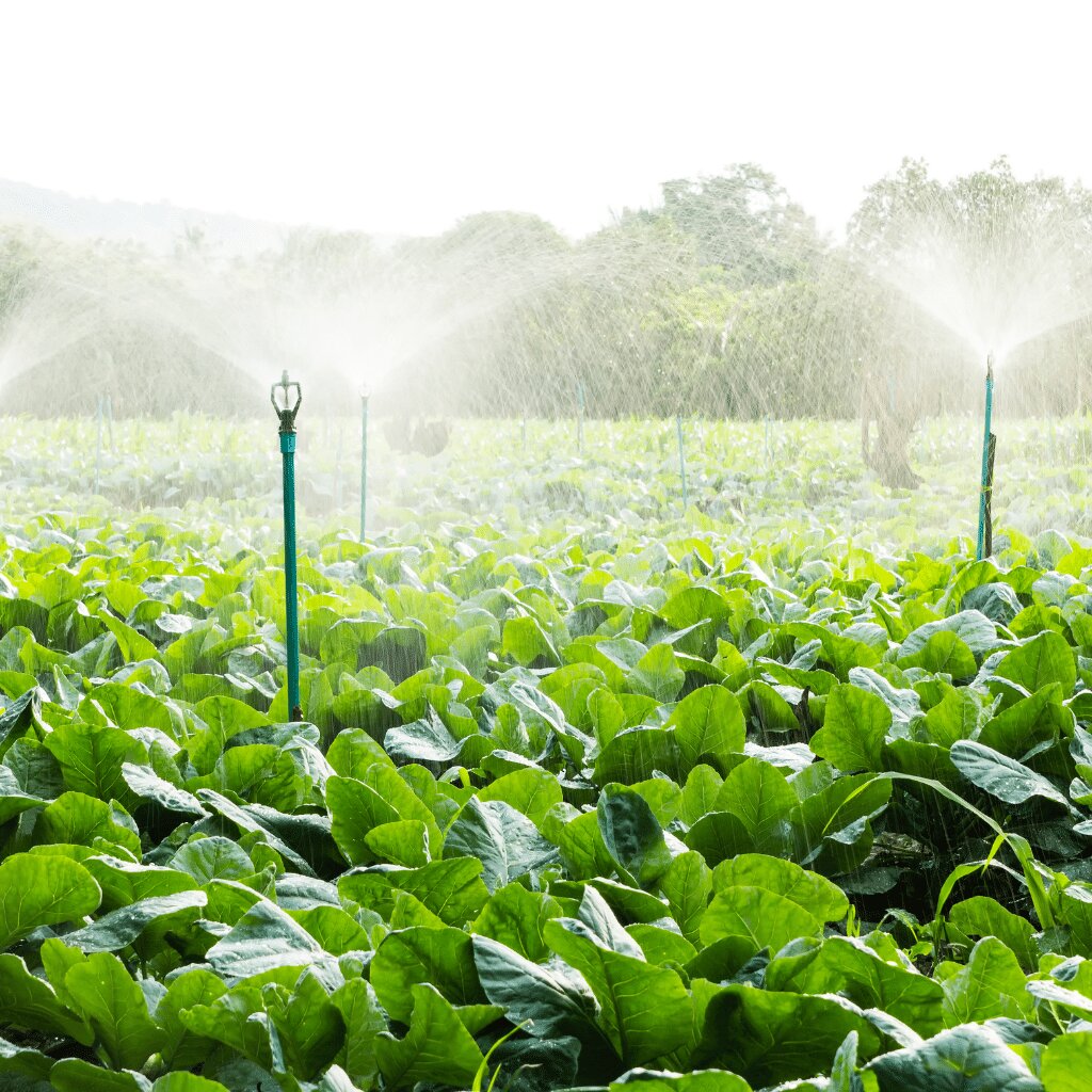 Commercial irrigation services
